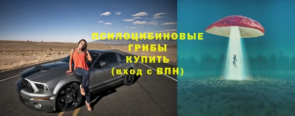 ПСИЛОЦИБИНОВЫЕ ГРИБЫ Новокубанск