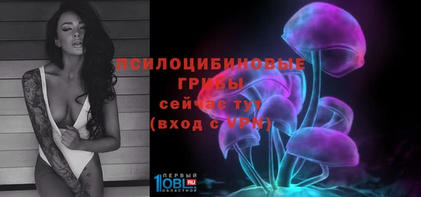 ПСИЛОЦИБИНОВЫЕ ГРИБЫ Новозыбков