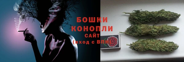 ПСИЛОЦИБИНОВЫЕ ГРИБЫ Новокубанск