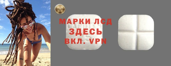 ПСИЛОЦИБИНОВЫЕ ГРИБЫ Новозыбков