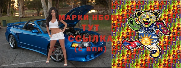 ПСИЛОЦИБИНОВЫЕ ГРИБЫ Новозыбков