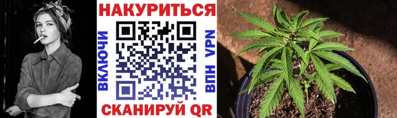 Бошки Шишки конопля Никольск